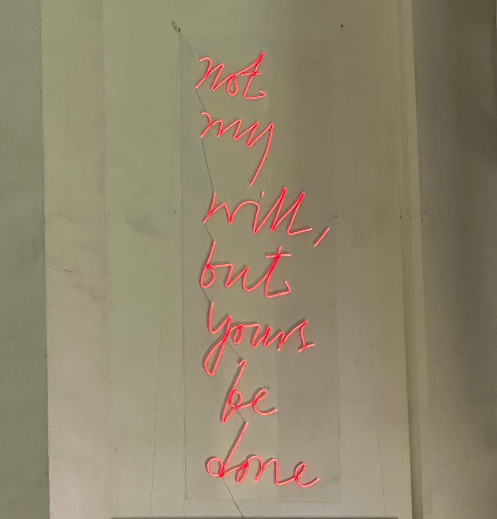 Sunday homily reflection.