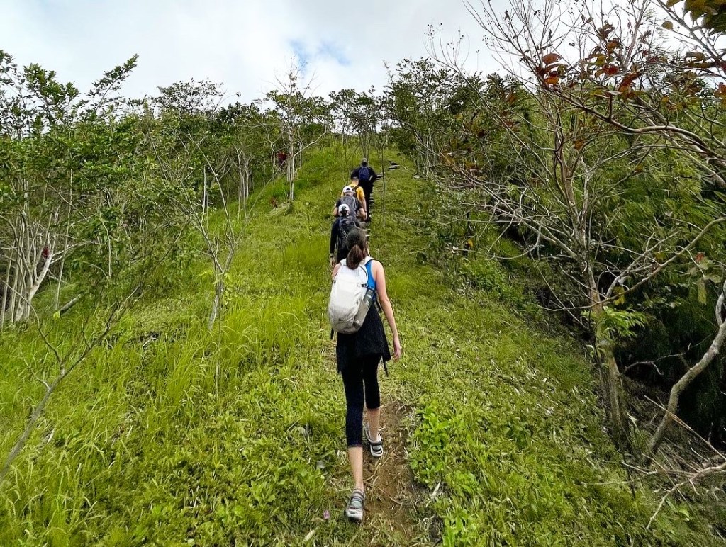 The year that&nbsp;was.